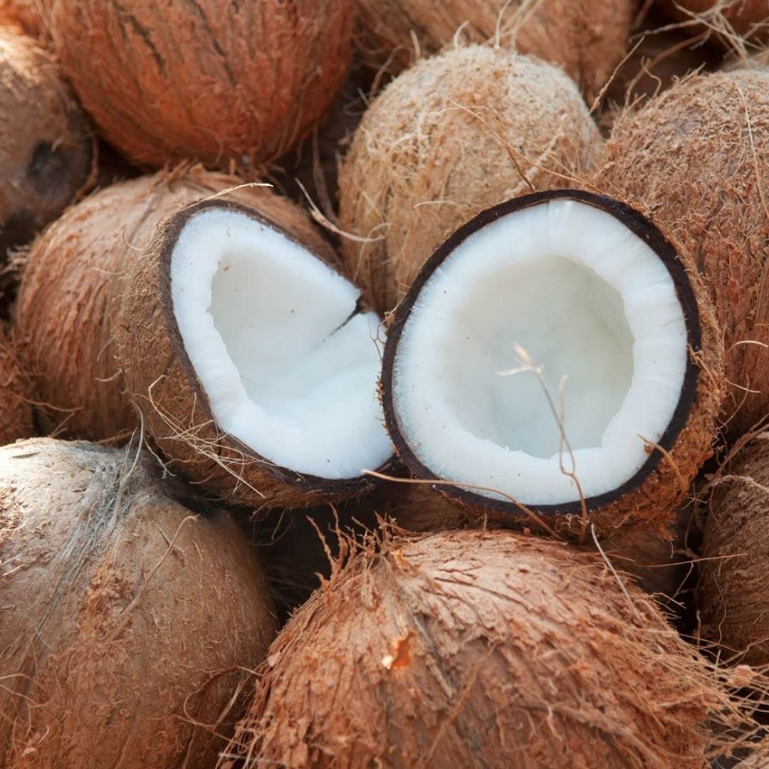 Nariyal Pani Wala – Sacred Coconut Vessel for Pooja, Hindu Rituals & Spiritual Offerings
