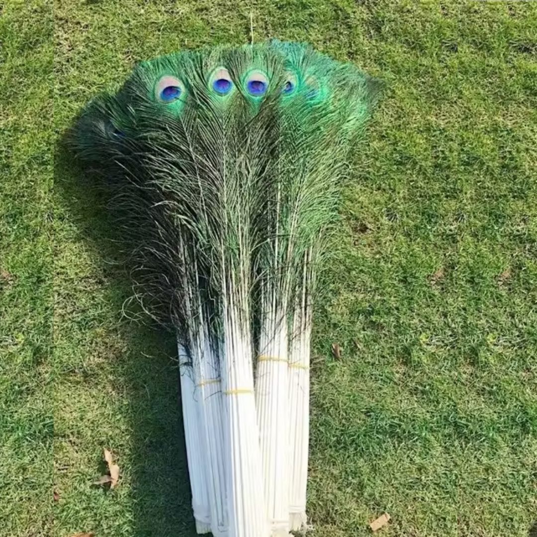 Morpankh Pankha – Sacred Peacock Fan for Divine Blessings