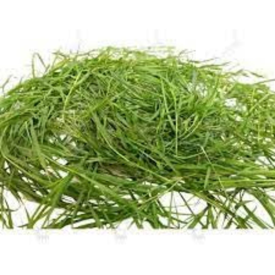 Dubh Ghas Sacred Grass – Essential Puja Item for Hindu Ceremonies