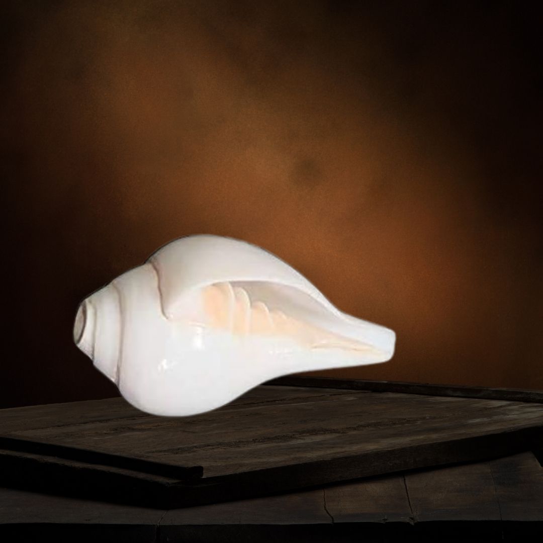 Sacred Shankh (Conch Shell) for Puja | Vamavarti Shankh for Daily Rituals | Auspicious Hindu Pooja Item for Home & Temple Use