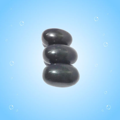 Saligram Shila – Sacred Fossil Stone Symbol of Lord Vishnu’s Divine Presence