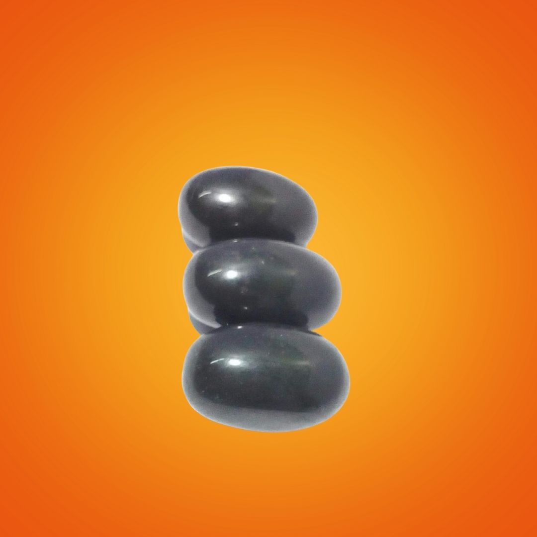 Saligram Shila – Sacred Fossil Stone Symbol of Lord Vishnu’s Divine Presence