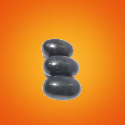 Saligram Shila – Sacred Fossil Stone Symbol of Lord Vishnu’s Divine Presence