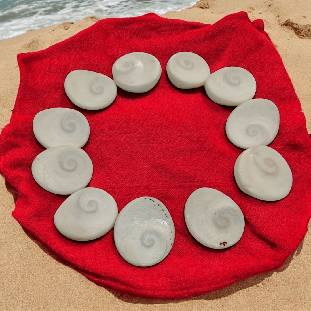 Gomtichakra – Sacred Yantra for Pooja, Meditation & Positive Energy