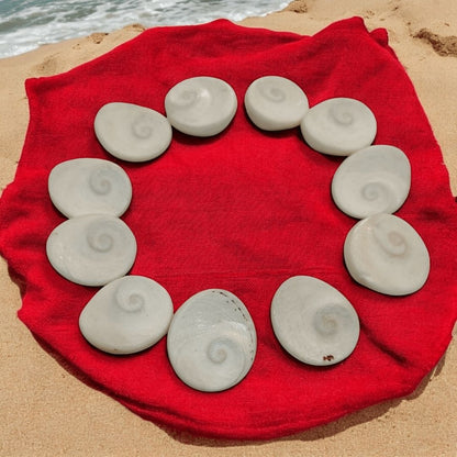 Gomtichakra – Sacred Yantra for Pooja, Meditation & Positive Energy
