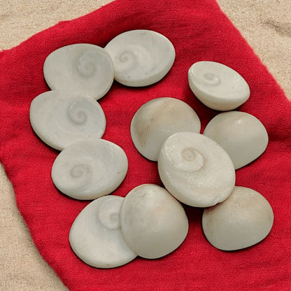 Gomtichakra – Sacred Yantra for Pooja, Meditation & Positive Energy