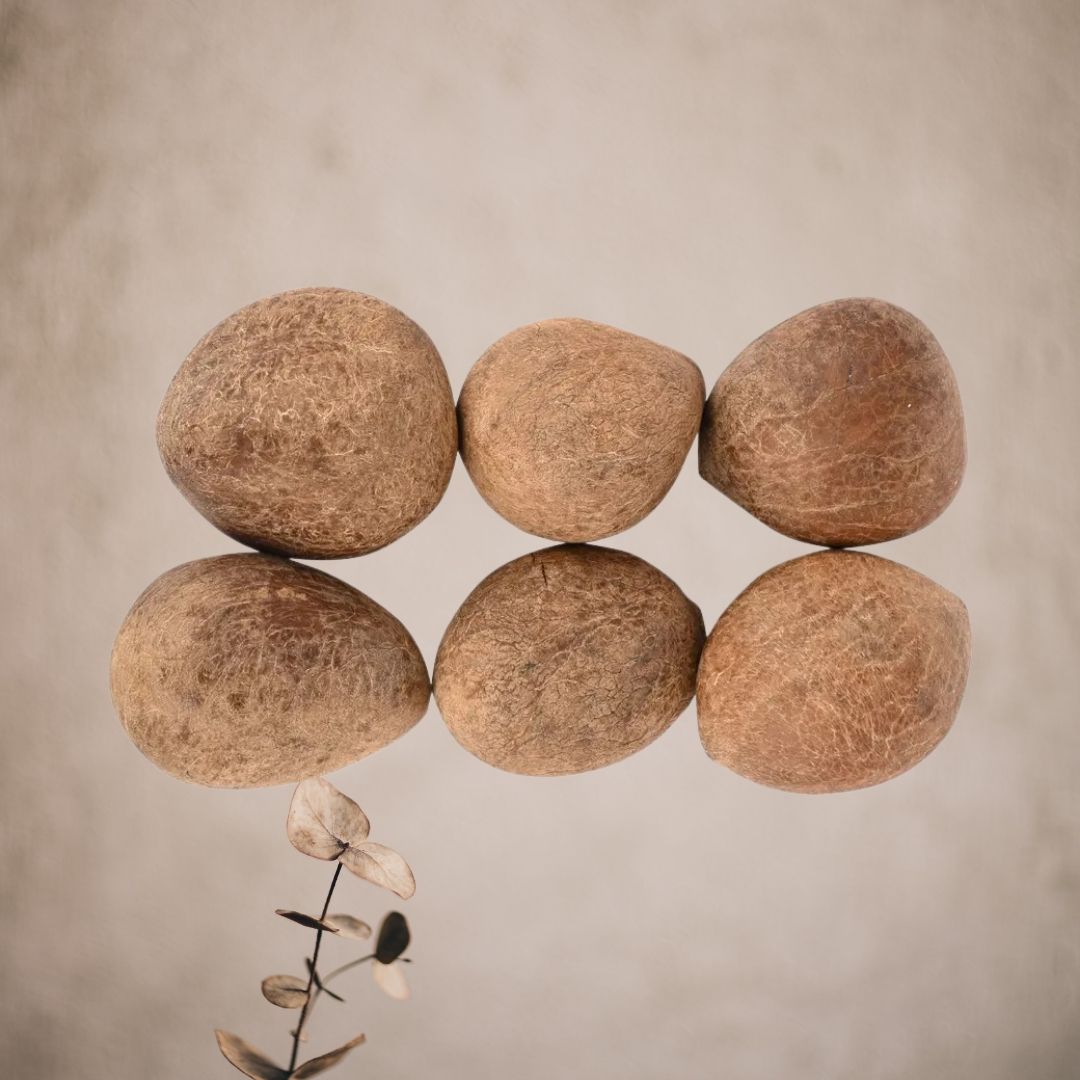 Gola Sabut – Sacred Whole Coconut for Pooja, Hindu Rituals & Spiritual Offerings
