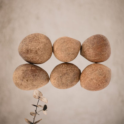 Gola Sabut – Sacred Whole Coconut for Pooja, Hindu Rituals & Spiritual Offerings