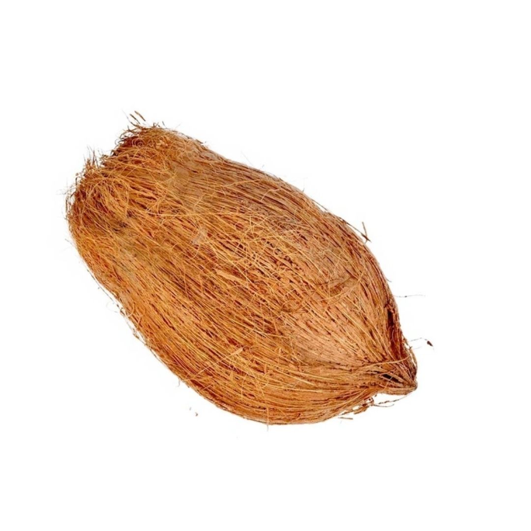 Nariyal Pani Wala – Sacred Coconut Vessel for Pooja, Hindu Rituals & Spiritual Offerings