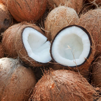 Nariyal Pani Wala – Sacred Coconut Vessel for Pooja, Hindu Rituals & Spiritual Offerings