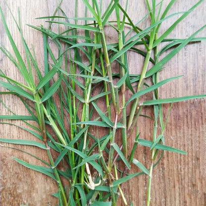 Dubh Ghas Sacred Grass – Essential Puja Item for Hindu Ceremonies