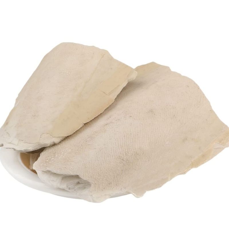 Samundri Jhag Sacred Conch Shell – Ritual Shankh for Lord Vishnu Worship, Energy Cleansing & Prosperity Blessings
