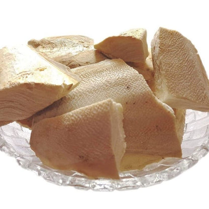 Samundri Jhag Sacred Conch Shell – Ritual Shankh for Lord Vishnu Worship, Energy Cleansing & Prosperity Blessings