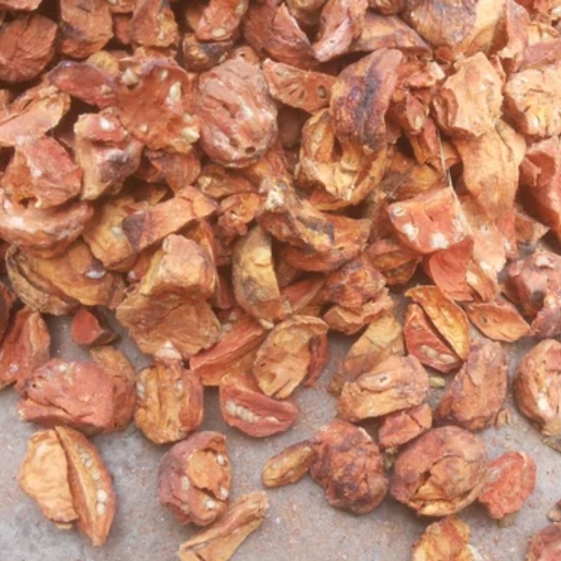 Belgiri Sabut 100gm (Sacred Conch Shell) for Pooja – Symbol of Purity, Prosperity & Divine Energy in Hindu Rituals