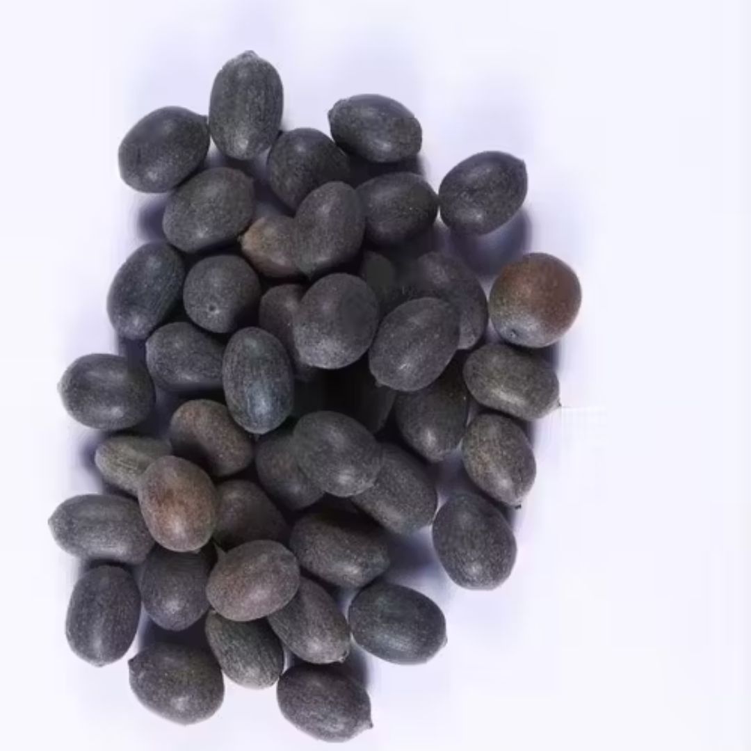 Kamal Gatta (Lotus Seeds) for Pooja – Sacred Offering for Lakshmi Worship, Prosperity, and Spiritual Growth