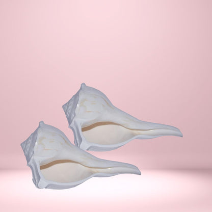 Shankh Dakshinavarti – Rare Sacred Conch Shell for Divine Blessings & Prosperity