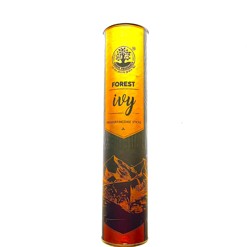 Forest Ivly Incense Stick 250gm– Enhance Meditation & Spirituality
